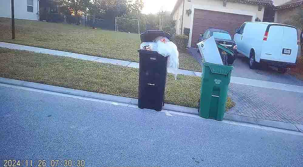 TownPark Overflowing Trash